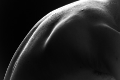 August 2019 / Bodyscapes_12_190825