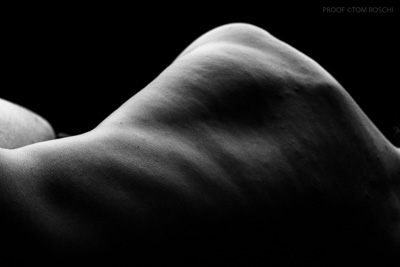 August 2019 / Bodyscapes_145_190825