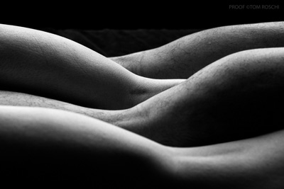 August 2019 / Bodyscapes_149_190825