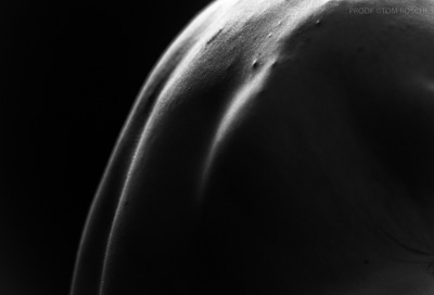 August 2019 / Bodyscapes_15_190825