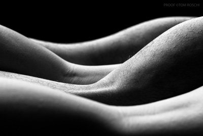 August 2019 / Bodyscapes_169_190825