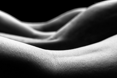 August 2019 / Bodyscapes_180_190825