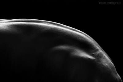 August 2019 / Bodyscapes_20_190825