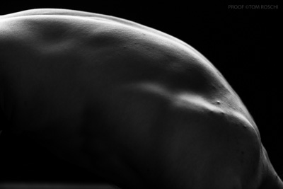 August 2019 / Bodyscapes_22_190825