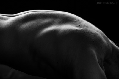 August 2019 / Bodyscapes_26_190825