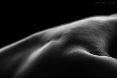 August 2019 / Bodyscapes_40_190825