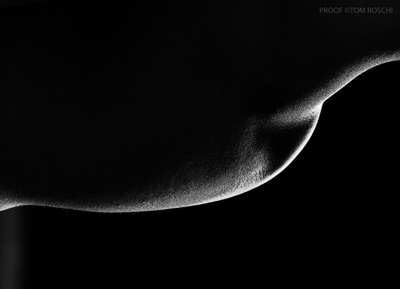 August 2019 / Bodyscapes_44_190825