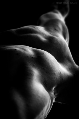 August 2019 / Bodyscapes_49_190825