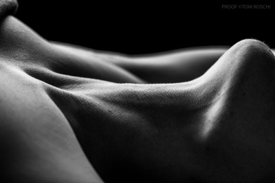 August 2019 / Bodyscapes_57_190825