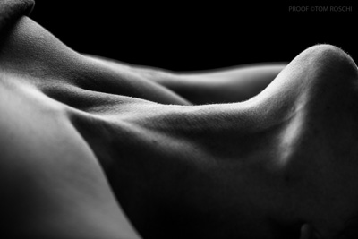 August 2019 / Bodyscapes_60_190825