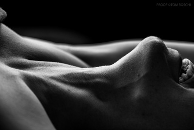 August 2019 / Bodyscapes_62_190825