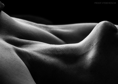 August 2019 / Bodyscapes_65_190825