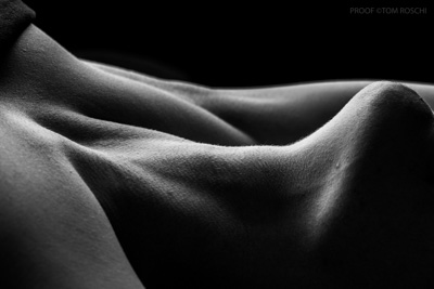 August 2019 / Bodyscapes_68_190825
