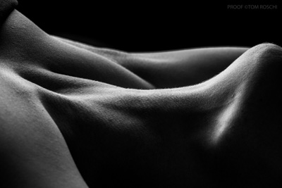 August 2019 / Bodyscapes_71_190825