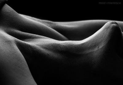 August 2019 / Bodyscapes_73_190825