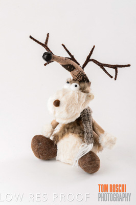 November 2019 / Neds_0004_191108