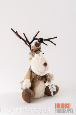 November 2019 / Neds_0005_191108