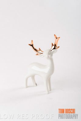 November 2019 / Neds_0011_191108