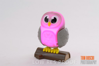 November 2019 / TerryWhite_0024_191108