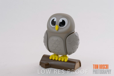 November 2019 / TerryWhite_0025_191108