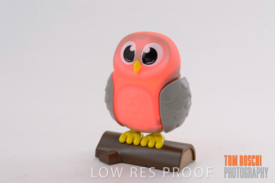 November 2019 / TerryWhite_0026_191108