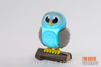 November 2019 / TerryWhite_0029_191108