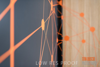 May 2020 / Bellberry_200528_022