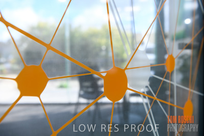 May 2020 / Bellberry_200528_034