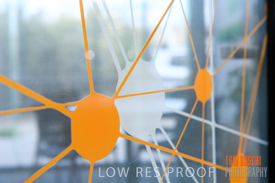 May 2020 / Bellberry_200528_036