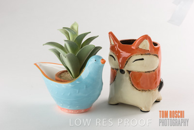 October 2020 / Mt_BARKER_0239_201029