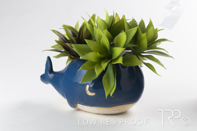 October 2021 / MT_BARKER_178_211019