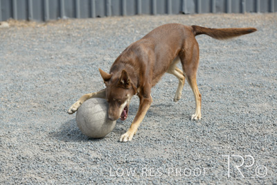 November 2021 / SPRAY_SHOP_211108_035