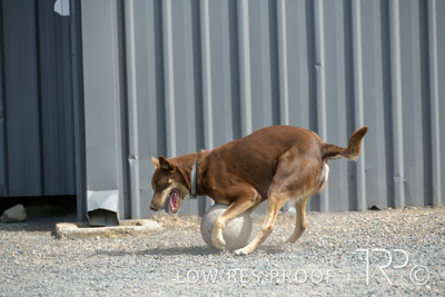 November 2021 / SPRAY_SHOP_211108_040