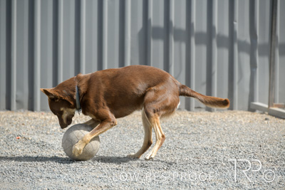 November 2021 / SPRAY_SHOP_211108_045