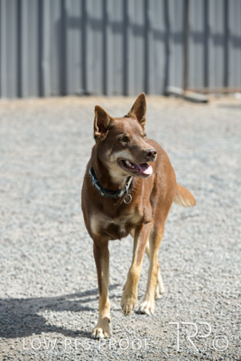 November 2021 / SPRAY_SHOP_211108_052