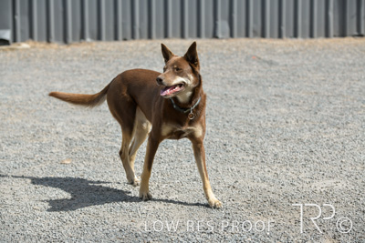 November 2021 / SPRAY_SHOP_211108_057