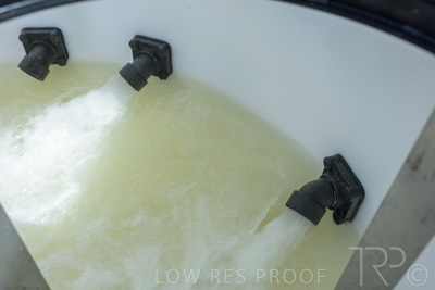 December 2021 / BATCHMASTER_1200-0243