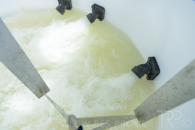 December 2021 / BATCHMASTER_1200-0256