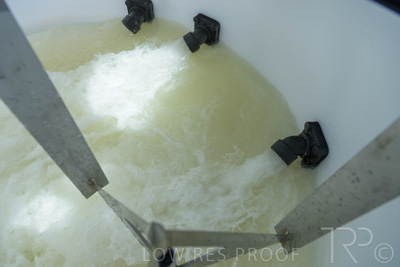 December 2021 / BATCHMASTER_1200-0259