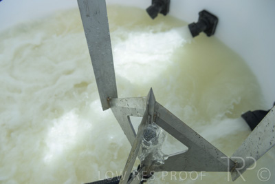 December 2021 / BATCHMASTER_1200-0265