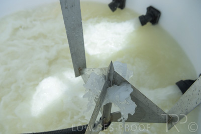 December 2021 / BATCHMASTER_1200-0268