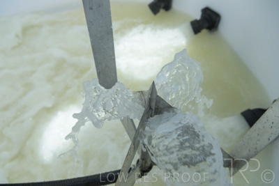 December 2021 / BATCHMASTER_1200-0271