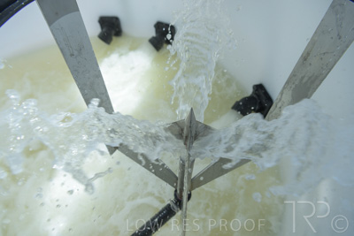 December 2021 / BATCHMASTER_1200-0286