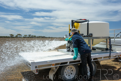 December 2021 / BATCHMASTER_1200-0355