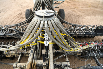 March 2022 / MANIFOLD-220316-4898