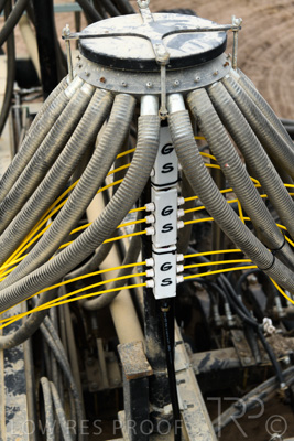 March 2022 / MANIFOLD-220316-4900