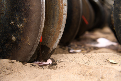 March 2022 / MANIFOLD-220316-4950