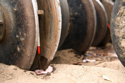 March 2022 / MANIFOLD-220316-4951