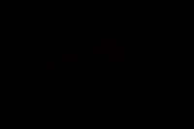 November 2022 / PB_18_221104