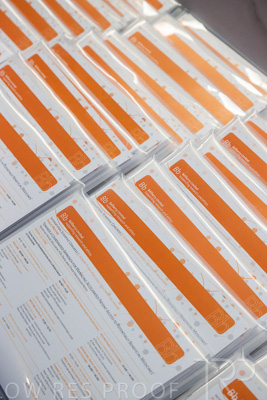 June 2023 / BellBerry_230623_012